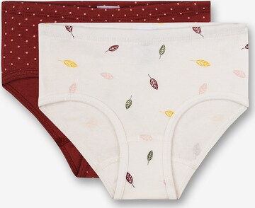 SANETTA Underpants in Red: front