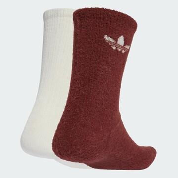 ADIDAS ORIGINALS Κάλτσες σε καφέ