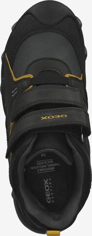 GEOX Stiefel in Schwarz