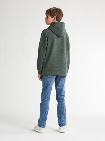 Petrol Industries Sweatshirt 'Blue Ridge' in Grün