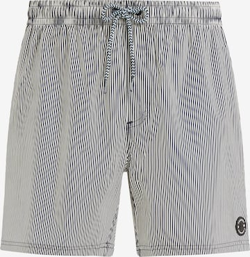 PROTEST Badeshorts 'PRTMANAMA' in Blau: Vorderseite