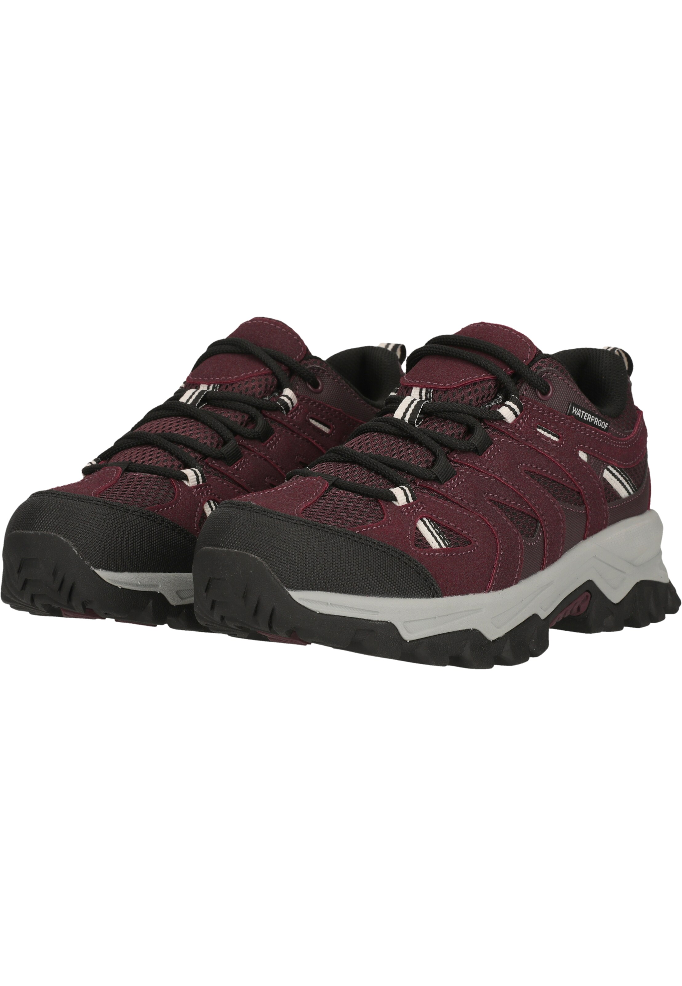 Whistler Wanderschuhe 'Terx' in Rot