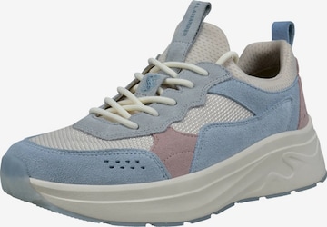 SALAMANDER Низкие кроссовки в Синий: спереди
