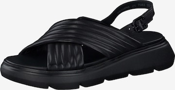 Sandalo con cinturino di Paul Green in nero: frontale