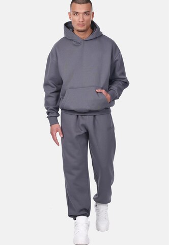 Dropsize Loose fit Pants in Grey