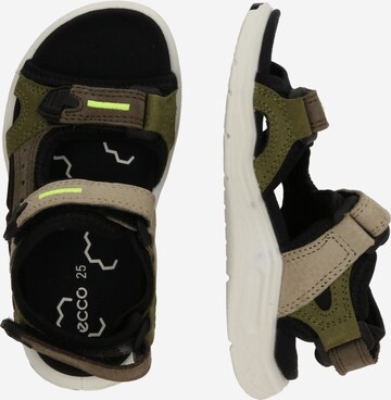 ECCO Sandals & Slippers 'TRINSIC' in Green