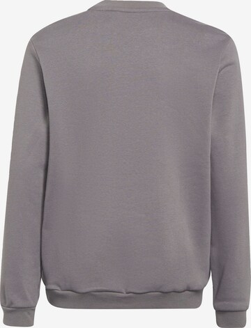 ADIDAS PERFORMANCE Athletic Sweatshirt 'Entrada 22' in Grey