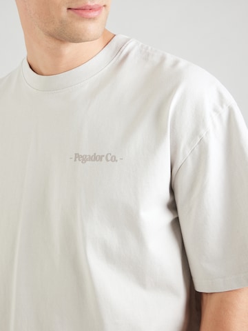 Pegador T-Shirt 'Sequia' in Grau