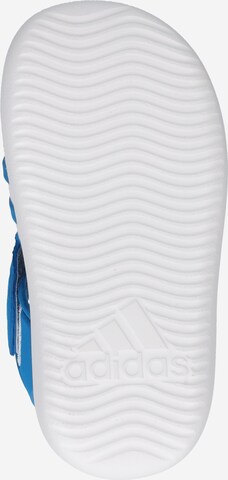 Flip-flops 'Closed-Toe Summer' de la ADIDAS SPORTSWEAR pe albastru