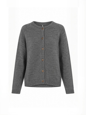Opal Studio Knit cardigan ' Filuca ' in Grey: front