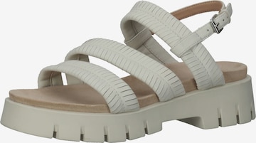 SANSIBAR Strap Sandals in Grey: front