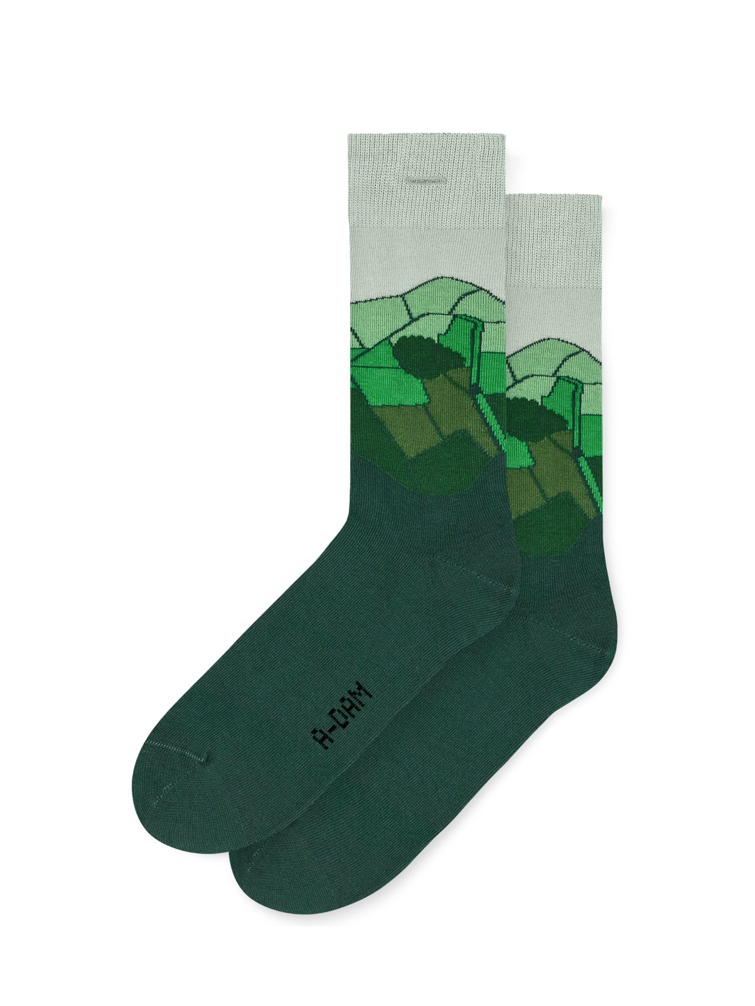 A-dam Socks in Green: front