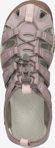 KEEN Sandals 'Clearwater' in Pink