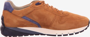 Pius Gabor Sneakers laag in Bruin