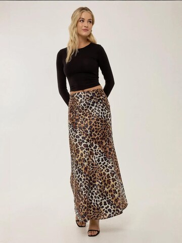 Hiccup Rock in Braun