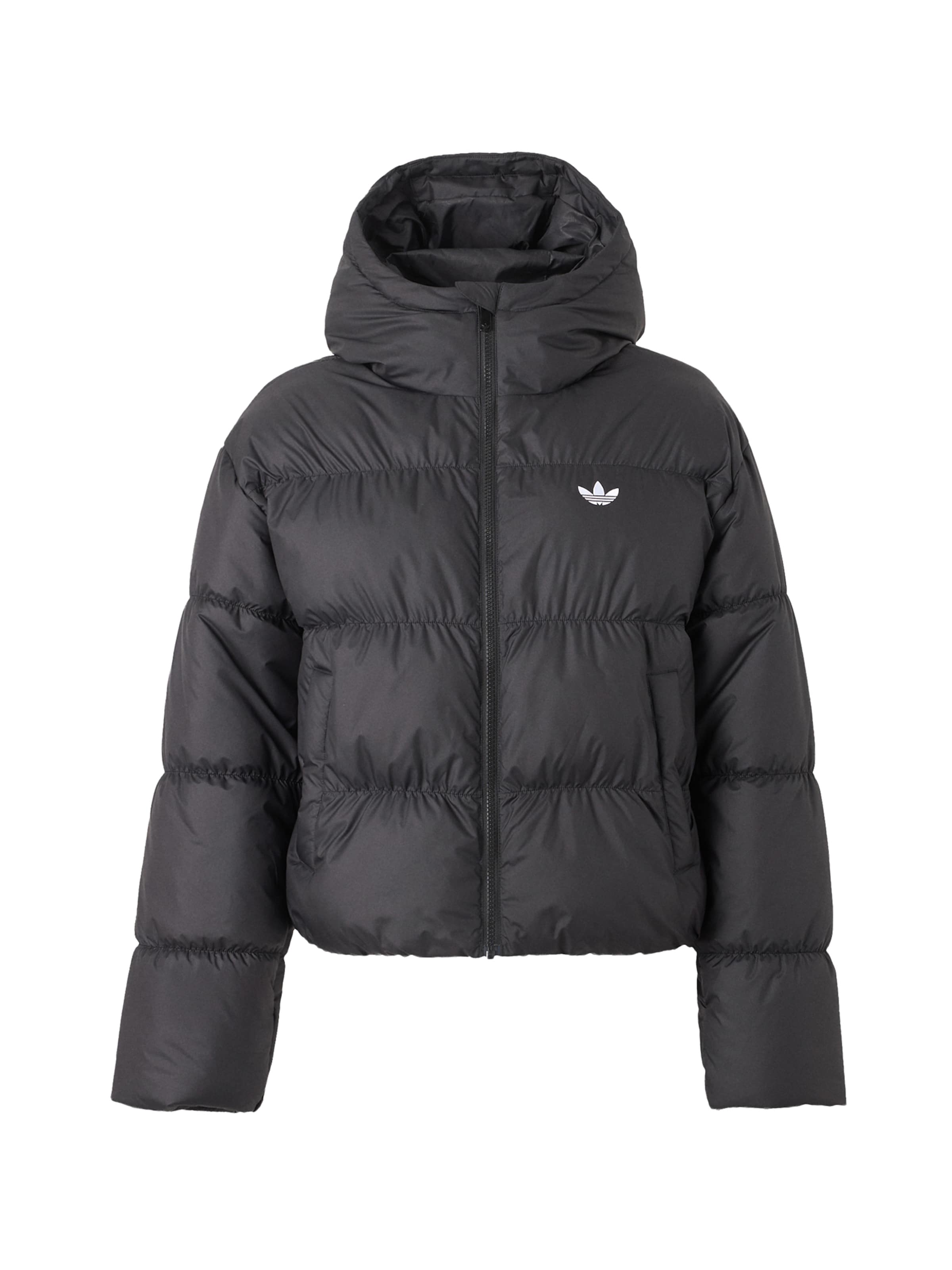 Geacă de iarnă de la ADIDAS ORIGINALS pe negru: față