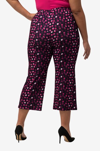 Ulla Popken Regular Pants in Pink