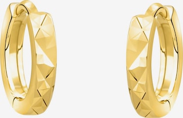 Sofia Milani Ohrringe in Gold: Vorderseite