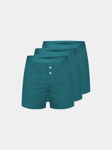 Boxers 'Casual Cotton' Erlich Textil en vert