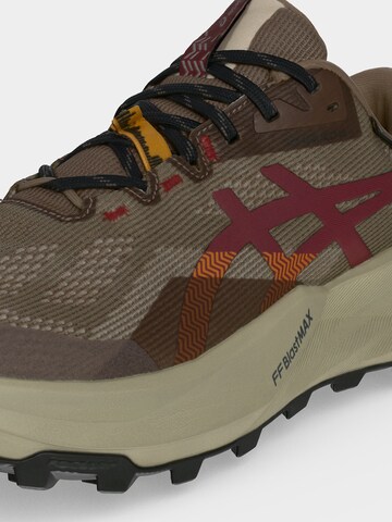 ASICS Loopschoen 'Trabuco 14' in Grijs