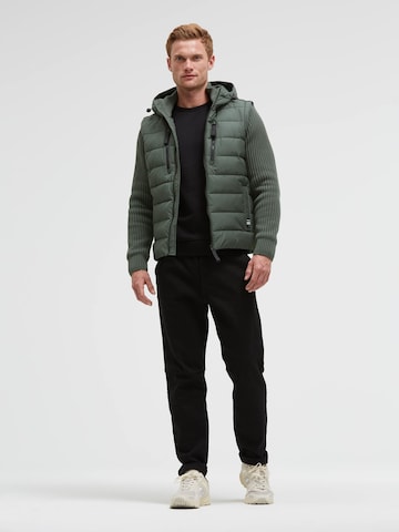 CAMP DAVID Winter Jacket in Green