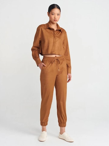 Dilvin Hose in Braun