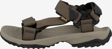 TEVA Sandals 'Terra' in Brown