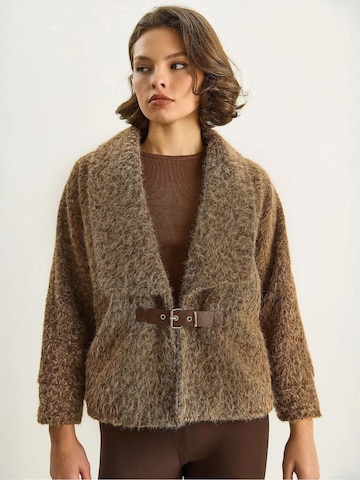 Bianco Lucci Between-seasons coat 'Mäntel' in Brown