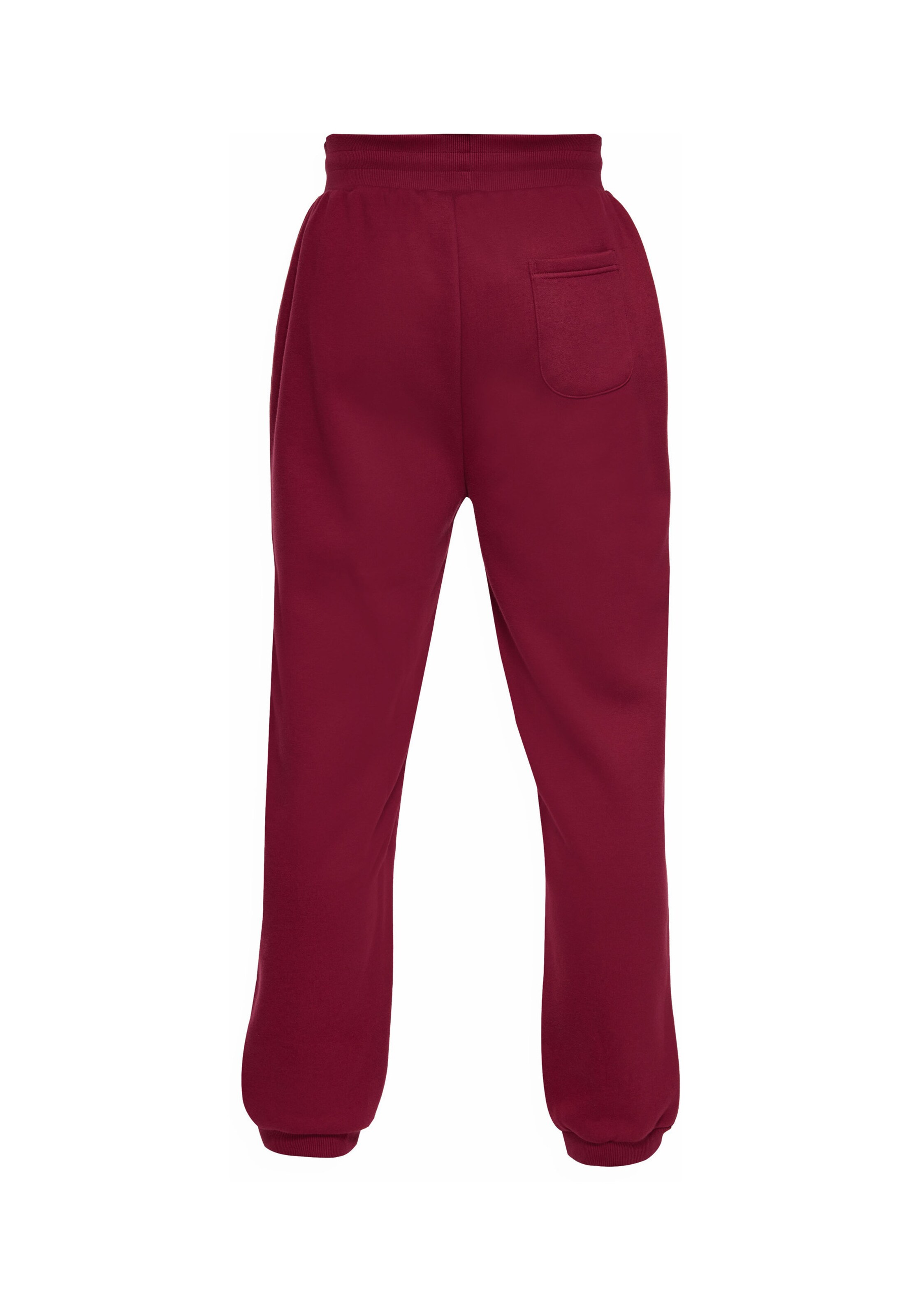 Dropsize Regular Broek in Lila
