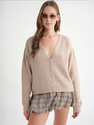 MixRay Knit Cardigan in Beige: front