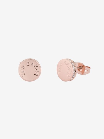 Ted Baker Earrings 'SEESAY' in Gold