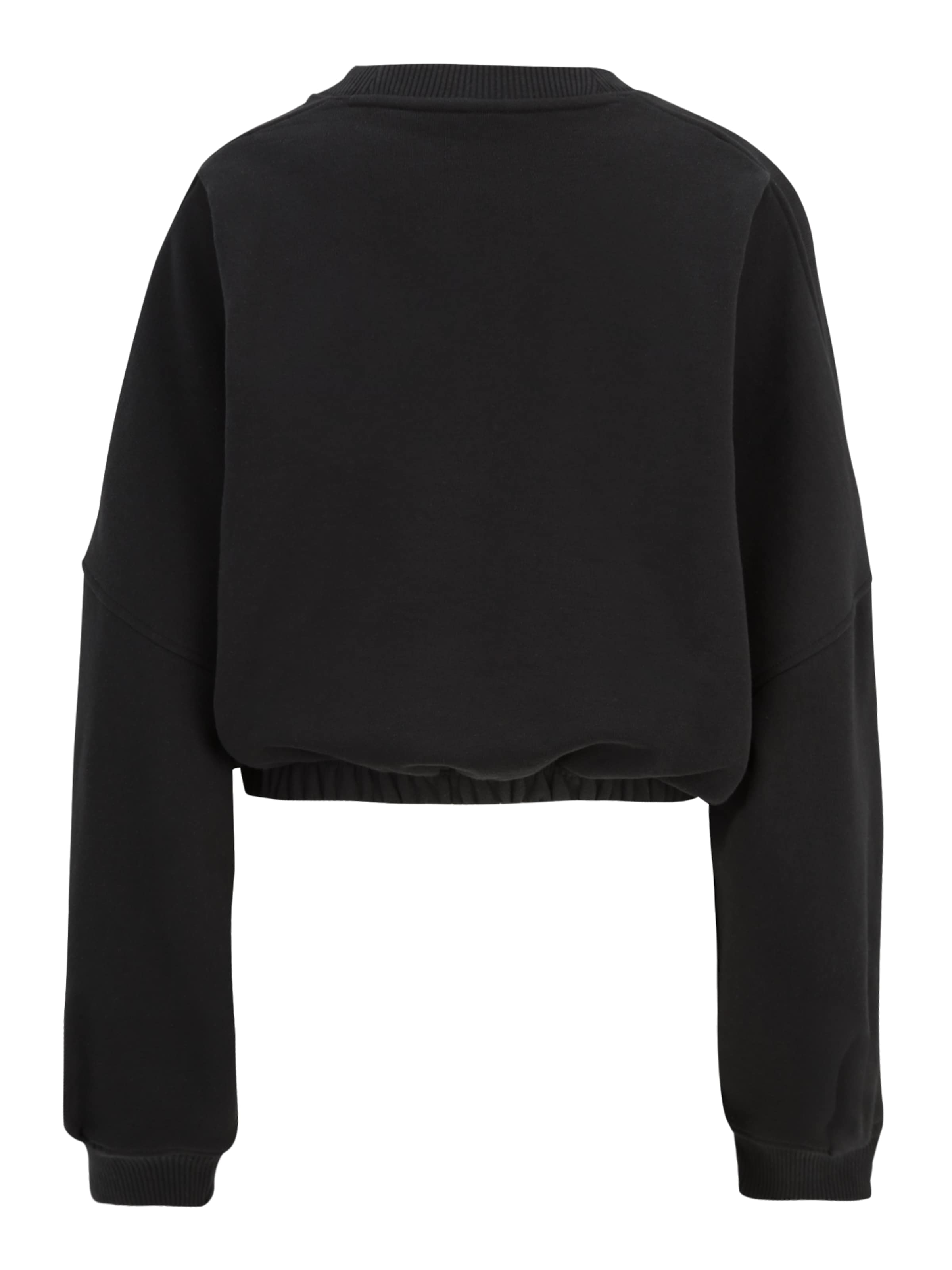 Bluză de molton 'Premium Essentials' de la ADIDAS ORIGINALS pe negru