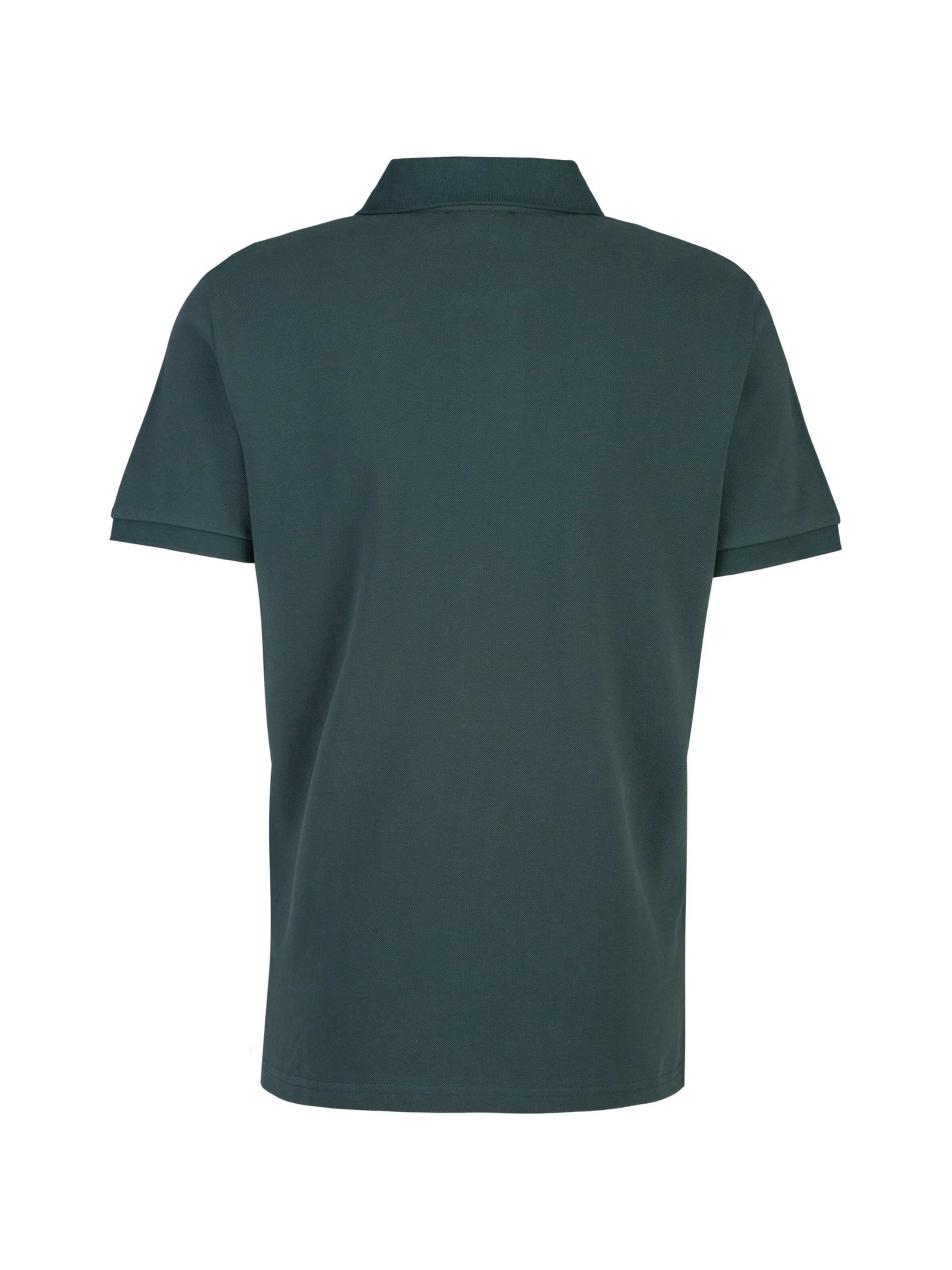 19V69 ITALIA Poloshirt 'Emilio' in Grün