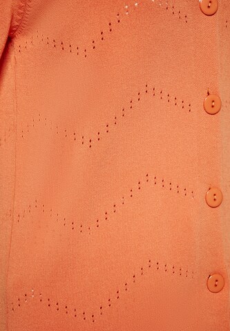 usha FESTIVAL Strickjacke in Orange