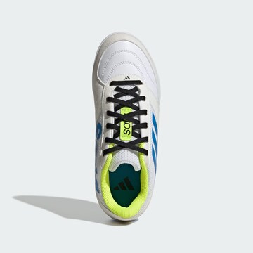 Chaussure de sport 'Top Sala Competition II' ADIDAS PERFORMANCE en blanc