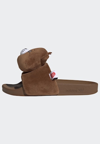 ADIDAS ORIGINALS Mules in Brown