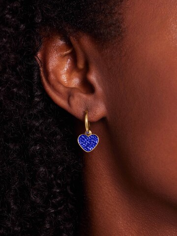 Boucles d'oreilles Lucardi en or : devant