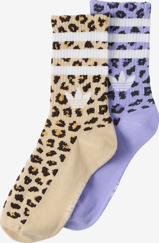 ADIDAS ORIGINALS Sukat värissä beige: etupuoli