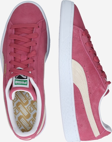 PUMA סניקרס נמוכות 'Classic XXI' בסגול