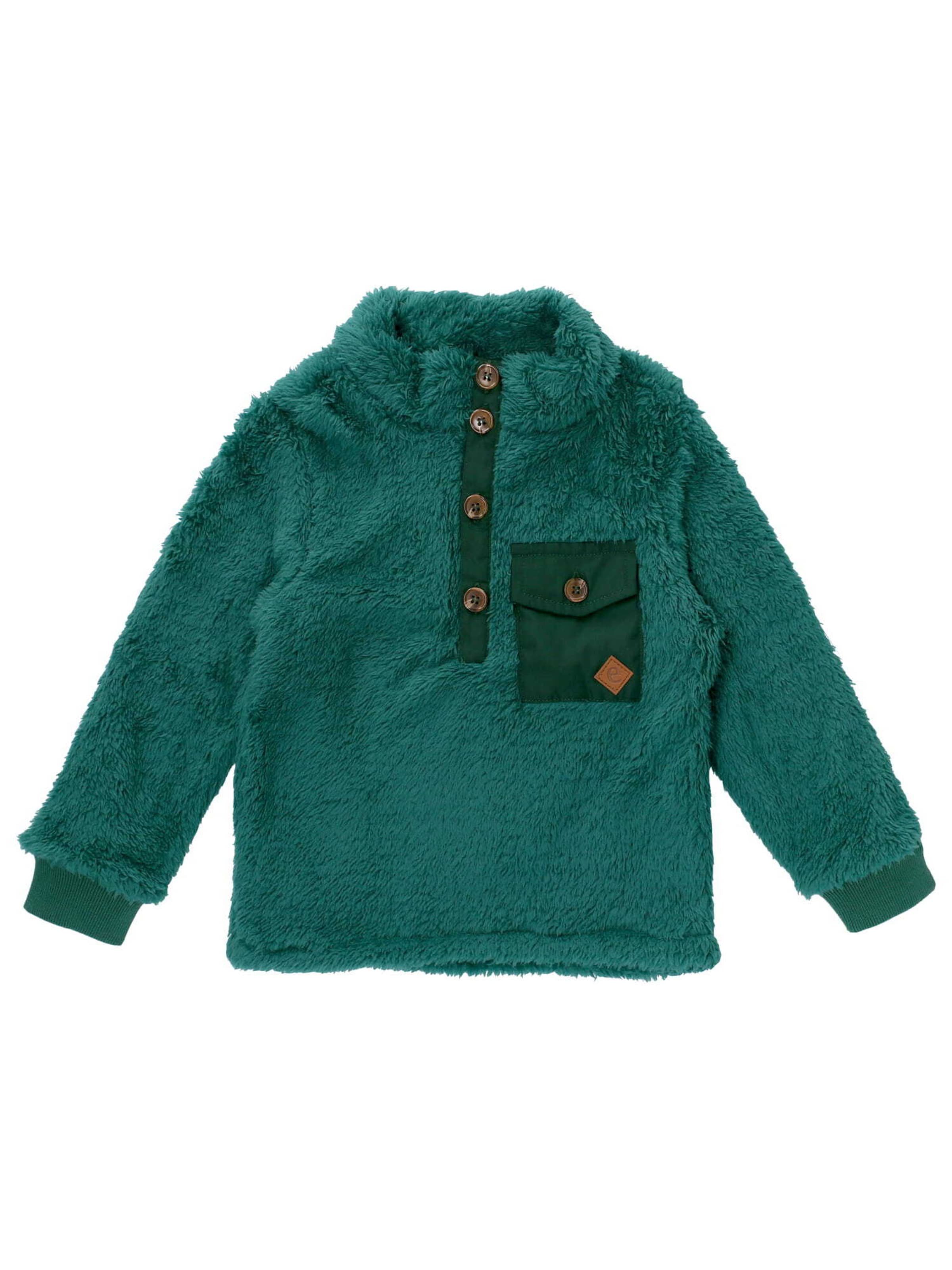 Ebbe Sweater 'Sten' in Green: front