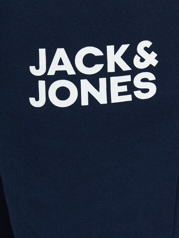 Jack & Jones Plus Normální Kalhoty – modrá