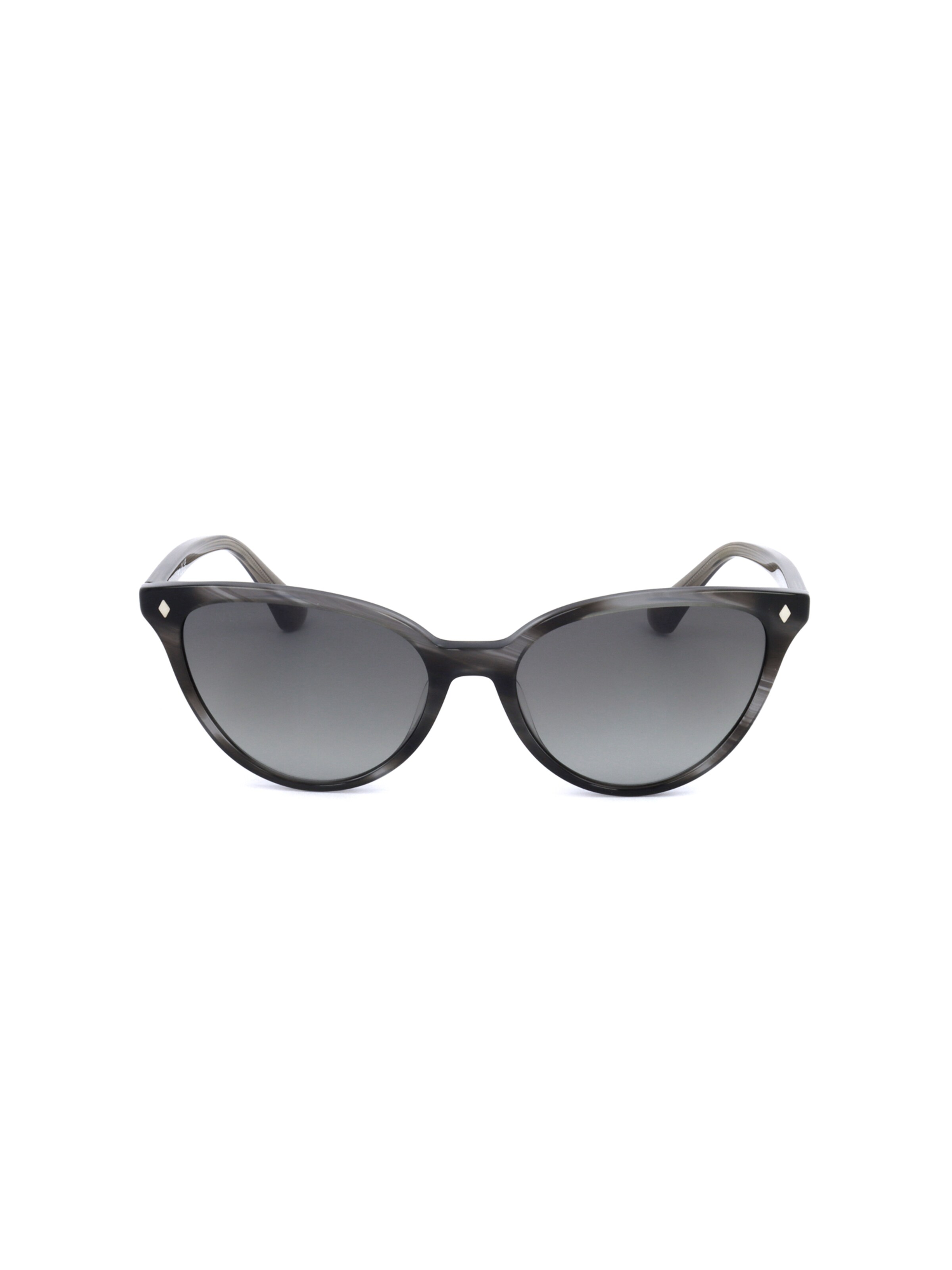 Occhiali da sole 'WE0329' di Web Eyewear in grigio: frontale