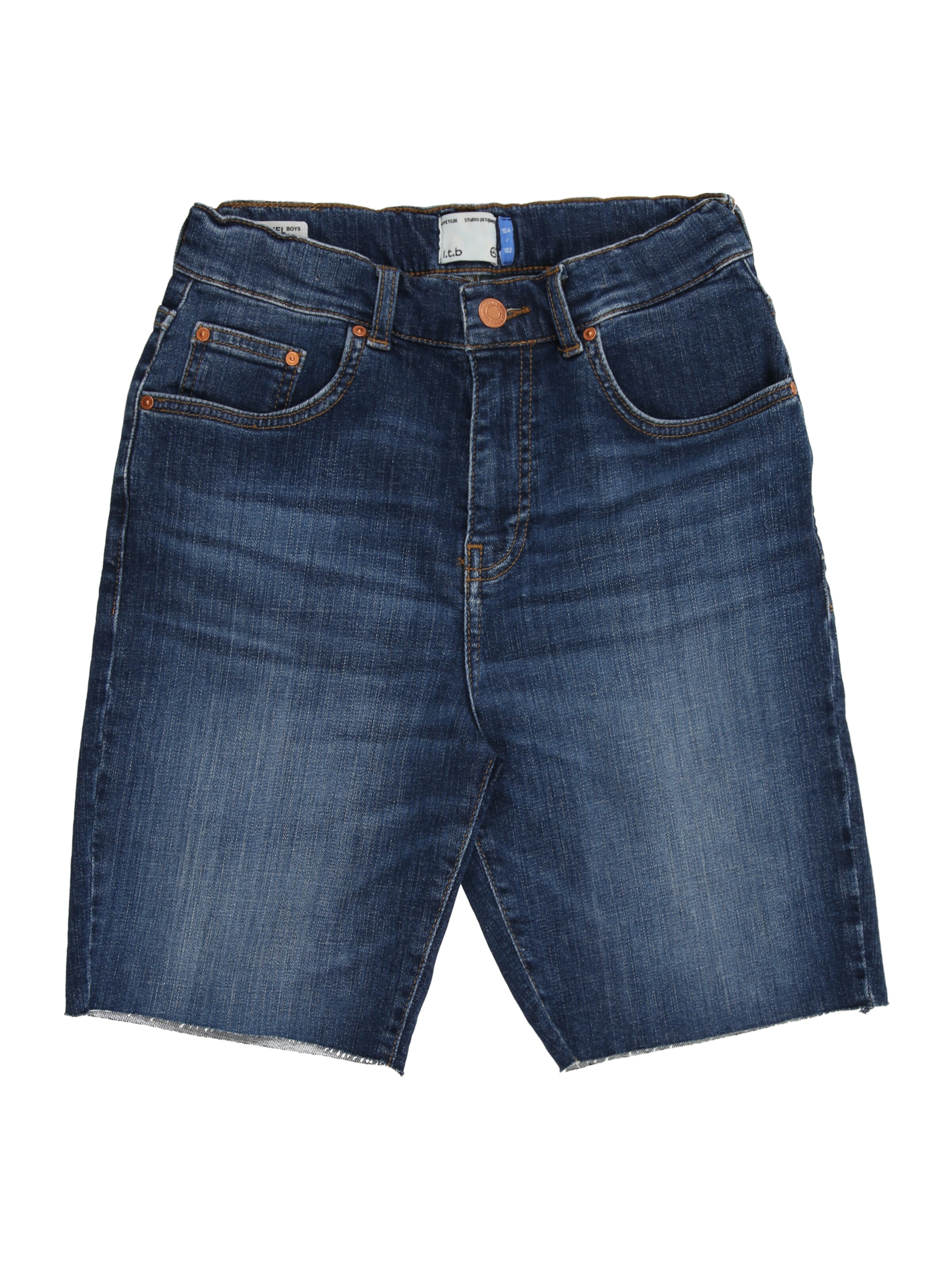 LTB Regular Shorts 'MIKEL' in Blau: Vorderseite