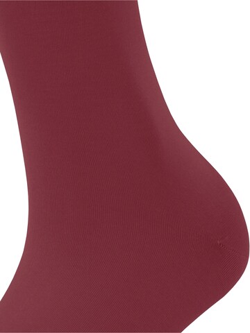 FALKE Knee High Socks 'Cotton Touch' in Red