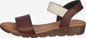 COSMOS COMFORT Sandalen met riem in Bruin: voorkant