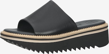 Paul Green Mules in Black: front