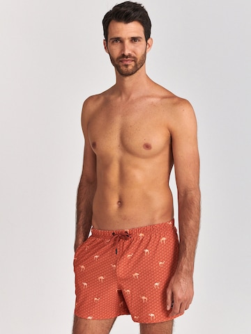 Shiwi Board Shorts in Brown: front