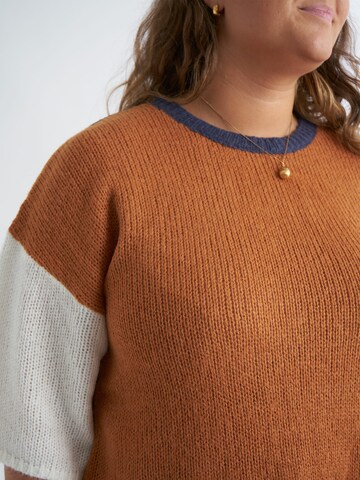 Aprico Sweater 'APClifton' in Brown
