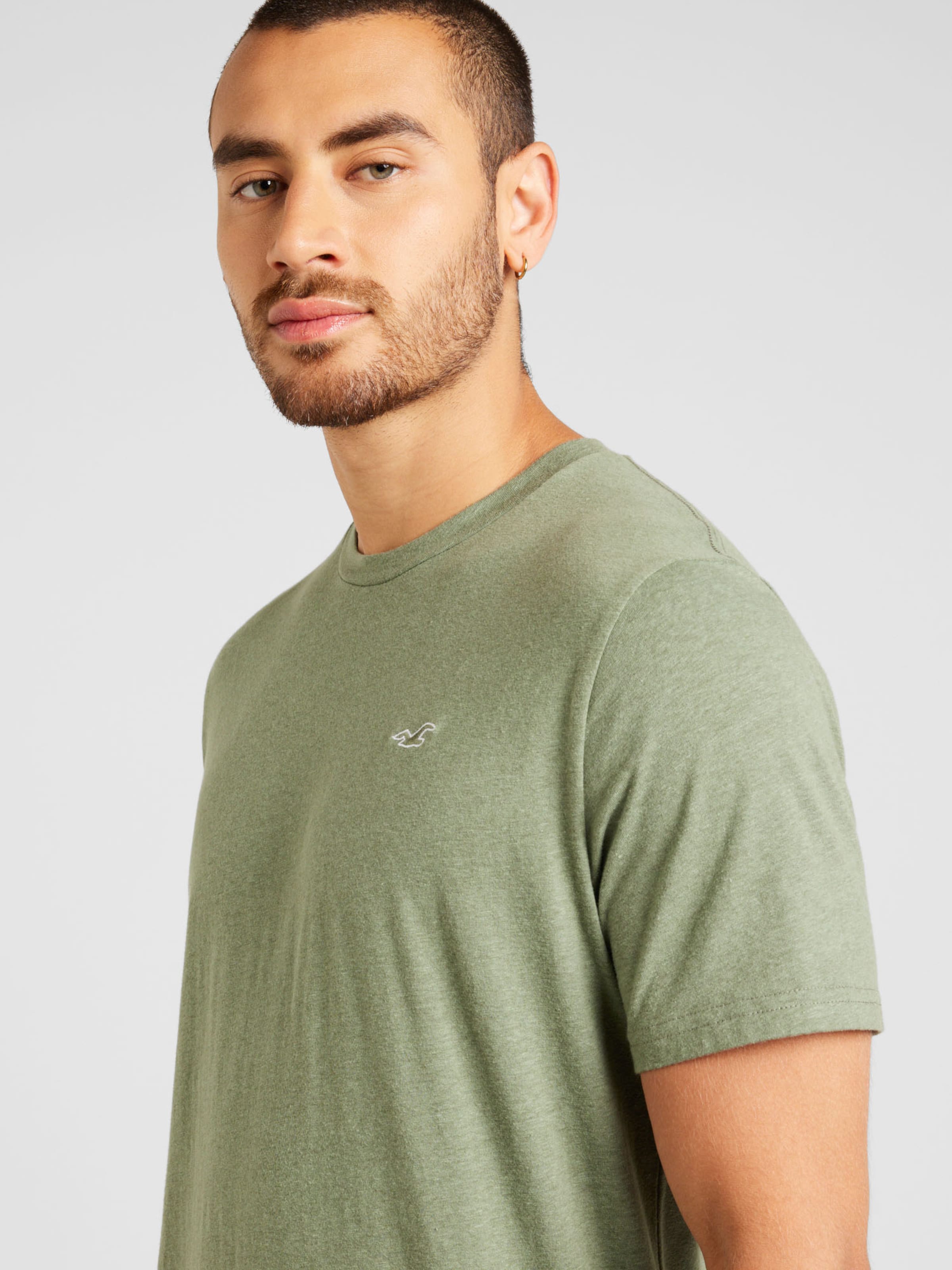 HOLLISTER T shirts for men Buy online ABOUT YOU