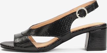 Kazar Sandals in Black: front